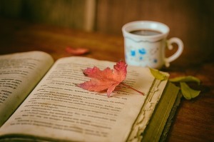 cup-and-book